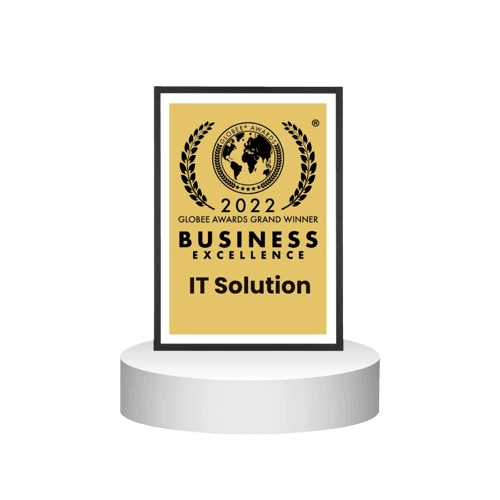 Top IT Solutions Provider 2024 - Next Hikes Recognition