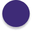 Circle Icon