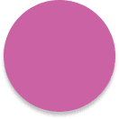 Circle Icon